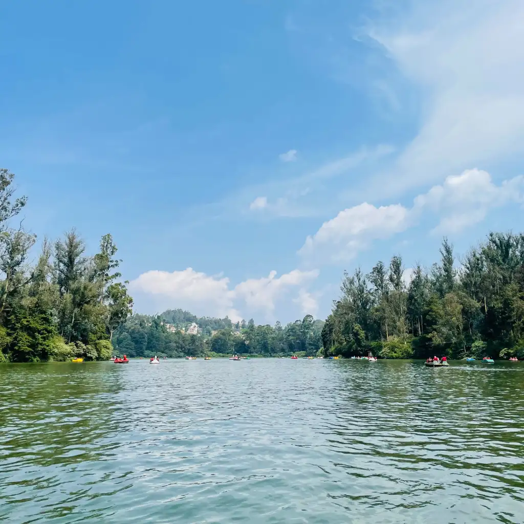 Ooty Lake