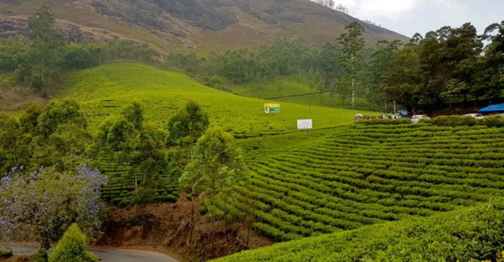 Chennai to Munnar Echo Point