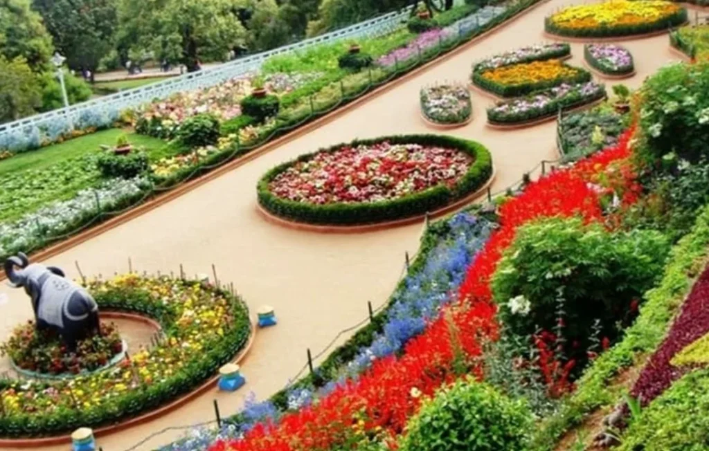 Rose Garden Munnar Travel