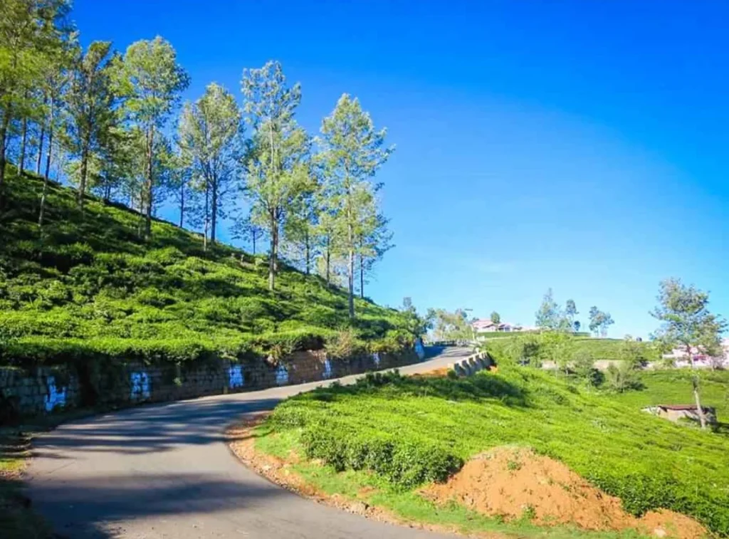Kotagiri