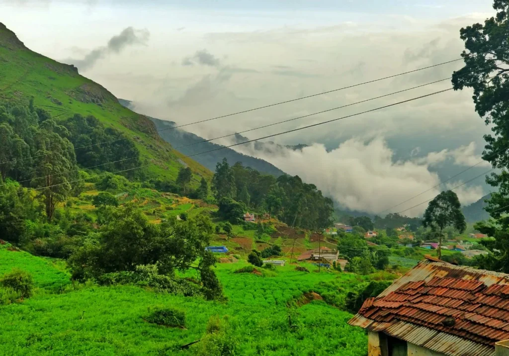 Ooty