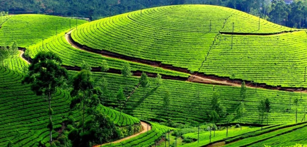 Top Best Hill Stations to Visit in TamilNadu