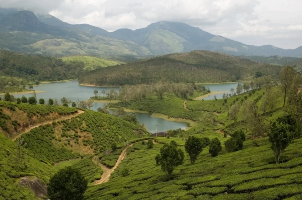 Yelagiri