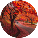 Niranjan Dindore profile picture